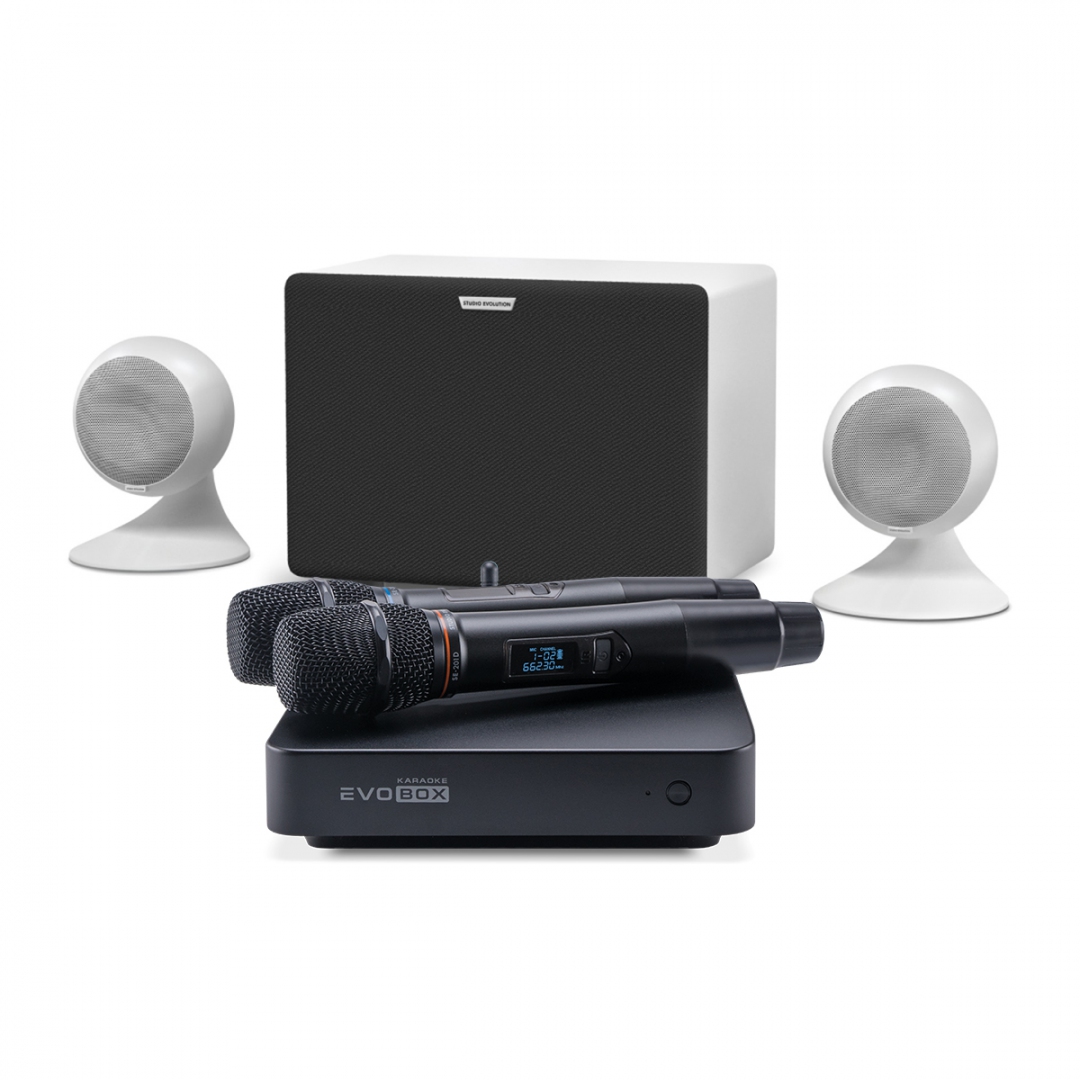 караоке-комплект EVOBOX Classic + EvoSound Sphere 2.1 в Инзе
