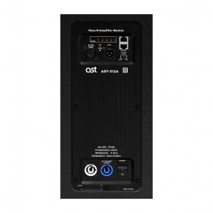Активная акустическая система AST-312A в Инзе