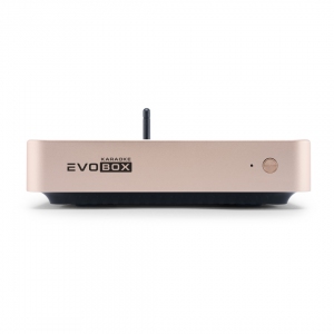 EVOBOX Plus караоке-система для дома в Инзе