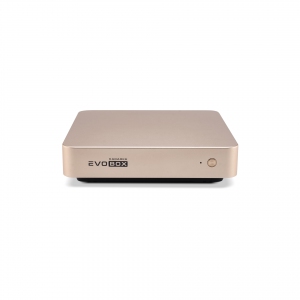 EVOBOX с микрофонами в Инзе