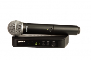 SHURE BLX24E/PG58 M17 вокальная радиосистема в Инзе
